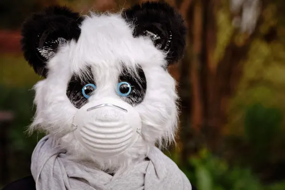 Rollers Casino Suporte